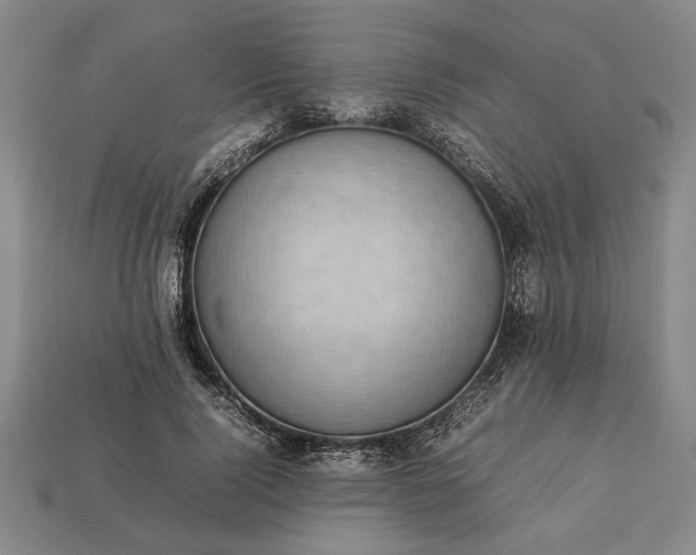 X0000113260740200909241522