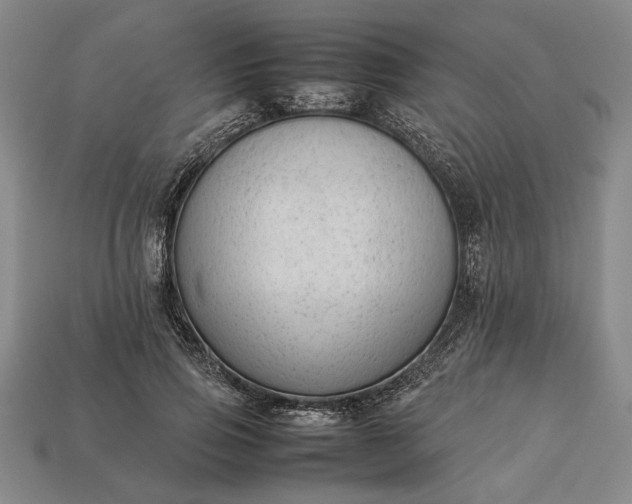 X0000113260741200909241522