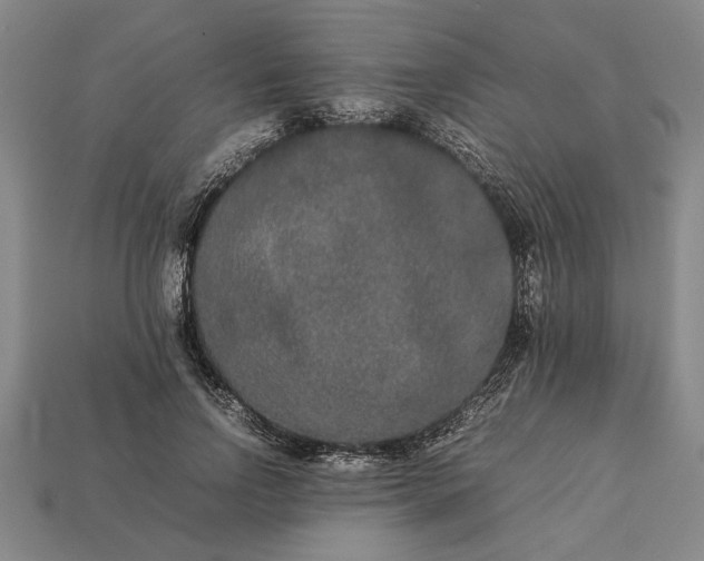 X0000113260742200909241522