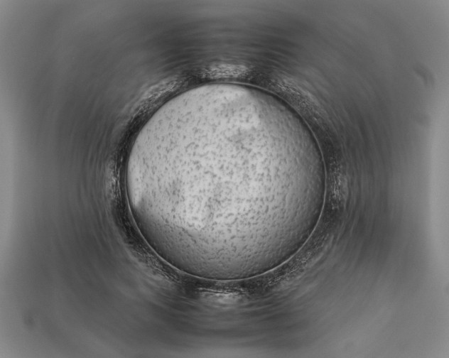 X0000113260743200909241522