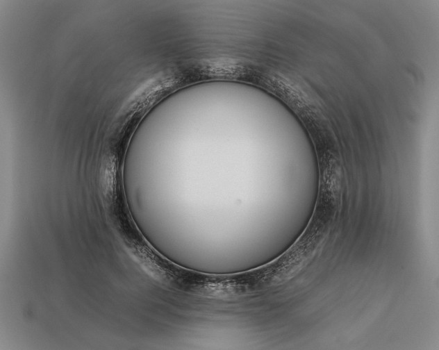 X0000113260744200909241522