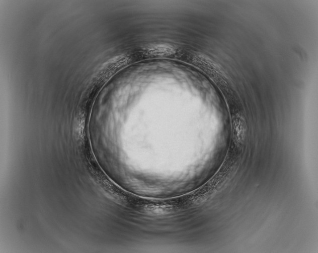 X0000113260745200909241522