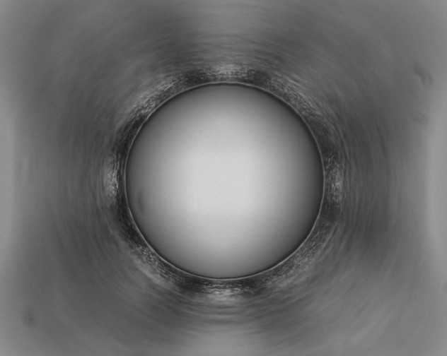 X0000113260746200909241522