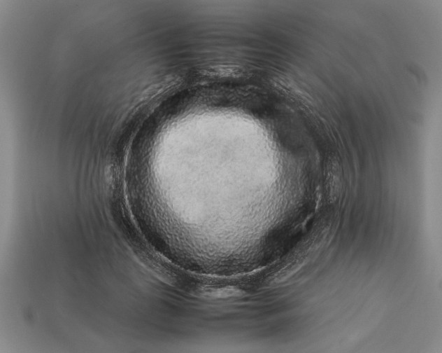 X0000113260747200909241522