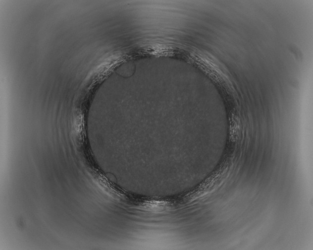 X0000113260748200909241522