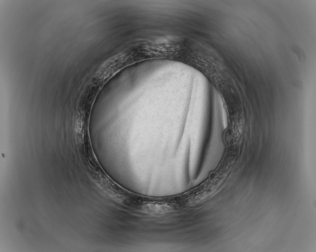 X0000113260749200909241522