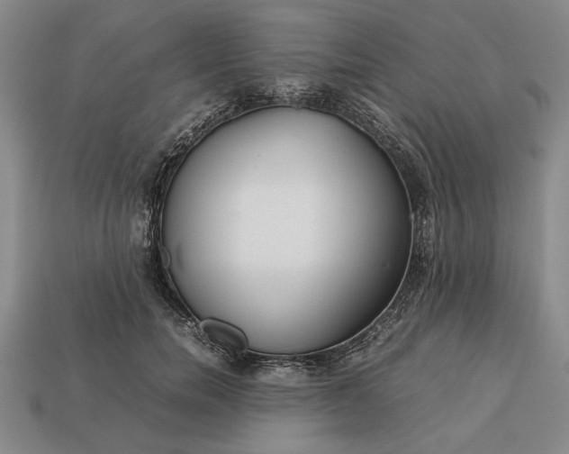 X0000113260750200909241522