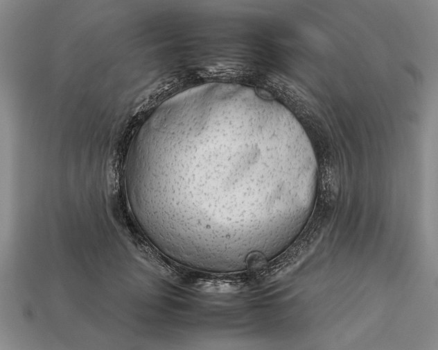 X0000113260751200909241522