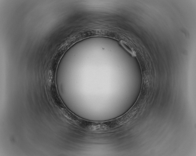 X0000113260752200909241522