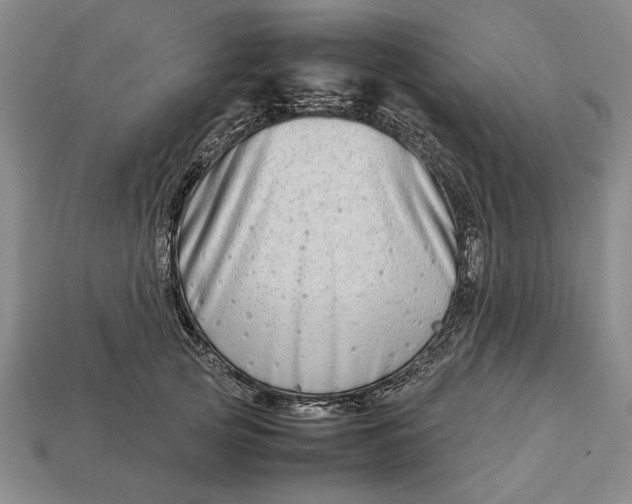 X0000113260753200909241522