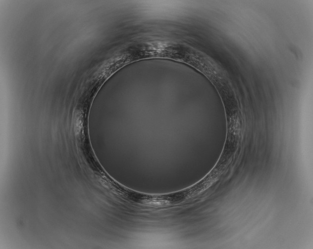 X0000113260754200909241522