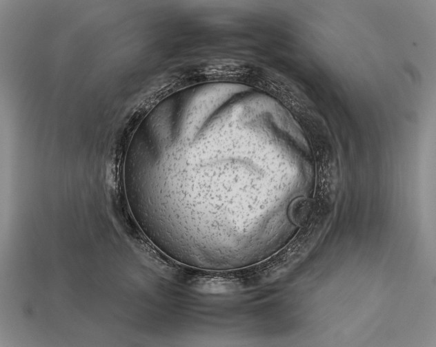 X0000113260755200909241522