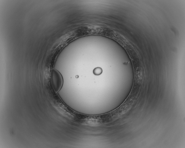 X0000113260756200909241522