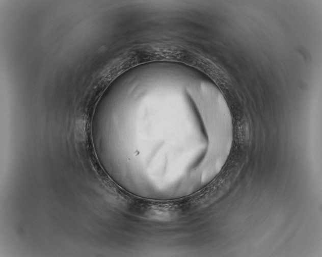 X0000113260757200909241522