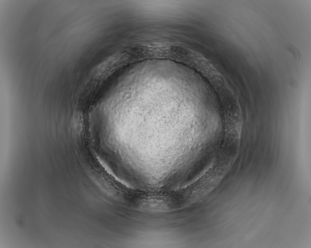 X0000113260758200909241522