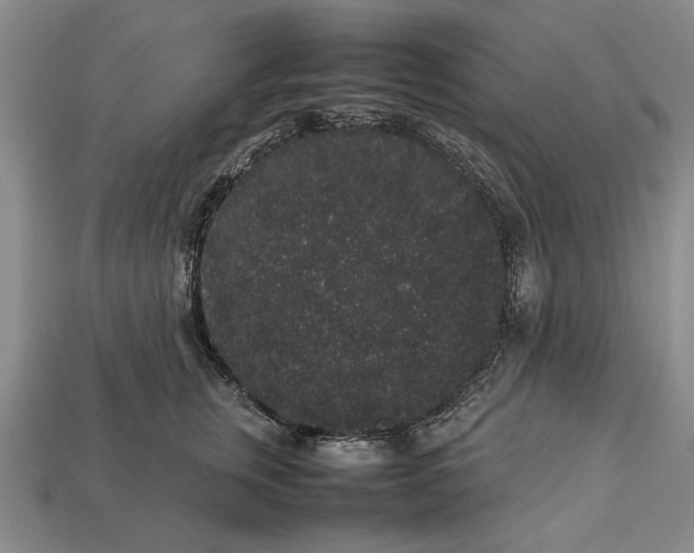 X0000113260759200909241522