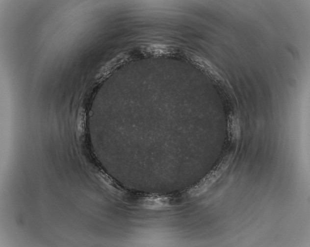 X0000113260760200909241522