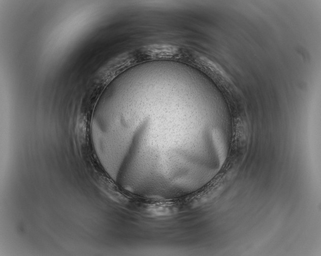 X0000113260761200909241522