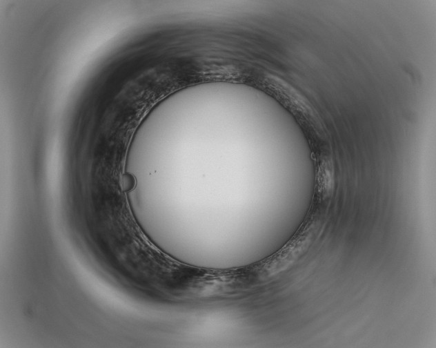 X0000113260764200909241522