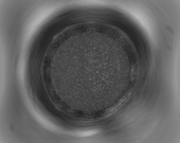 X0000113260765200909241522