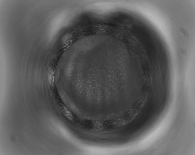 X0000113260766200909241522