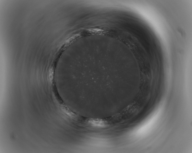 X0000113260767200909241522