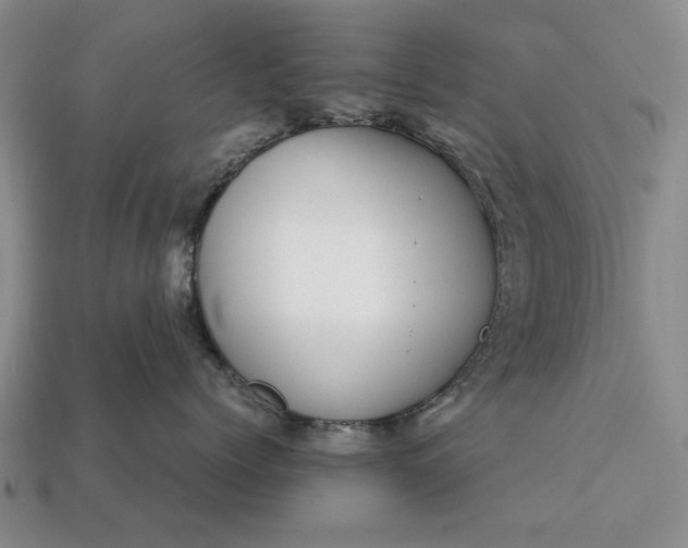 X0000113260768200909241522