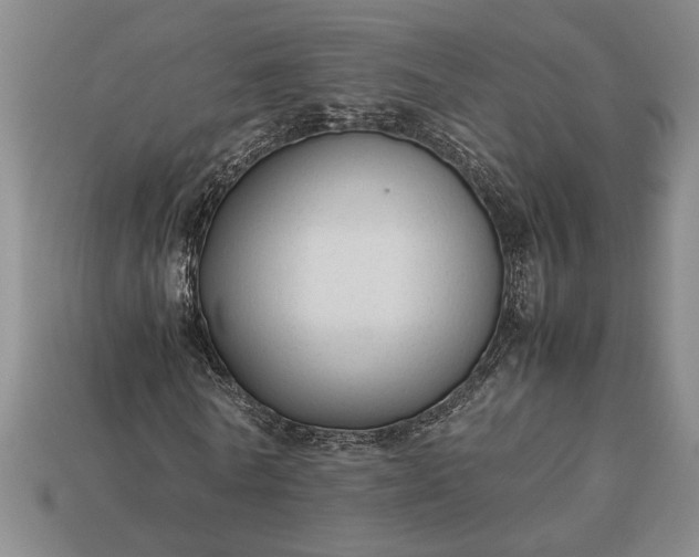 X0000113260770200909241521