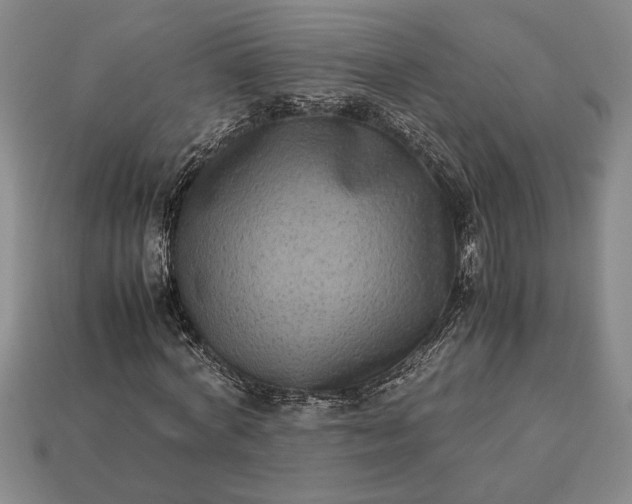 X0000113260772200909241521