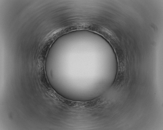 X0000113260773200909241521