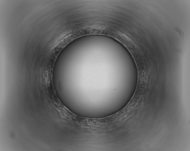 X0000113260774200909241521