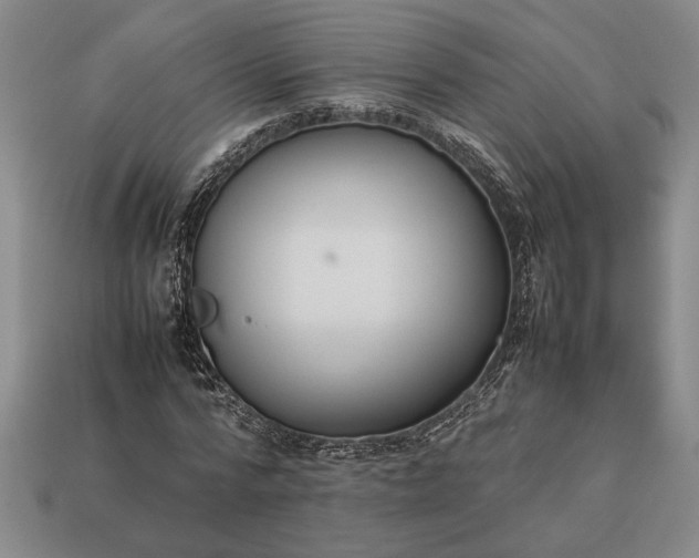 X0000113260776200909241521