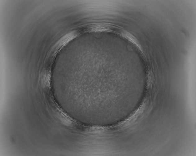 X0000113260777200909241521