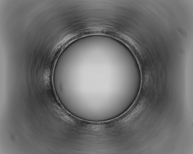 X0000113260778200909241521