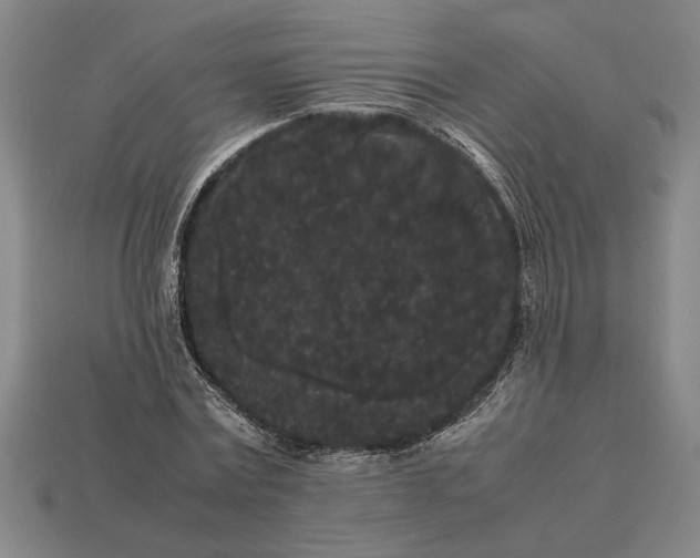 X0000113260779200909241521