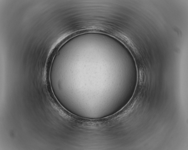 X0000113260780200909241521