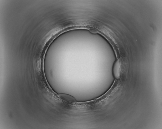 X0000113260781200909241521