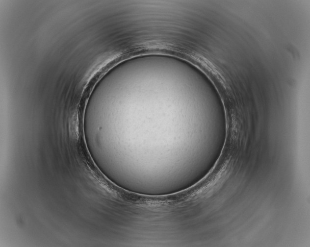 X0000113260782200909241521