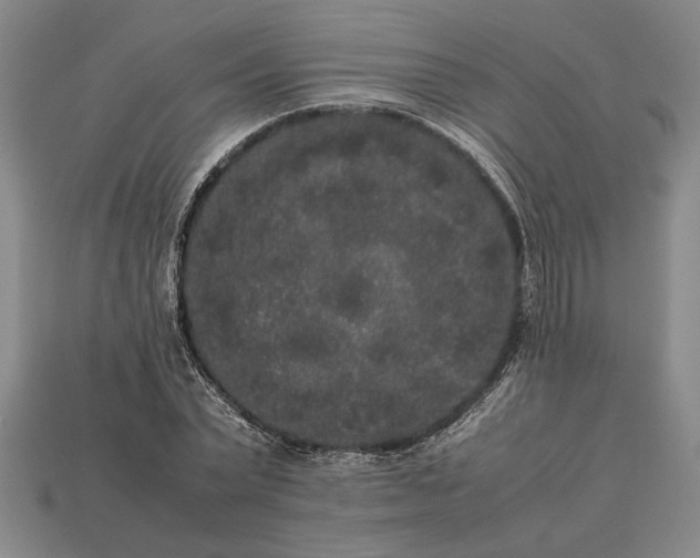 X0000113260783200909241521