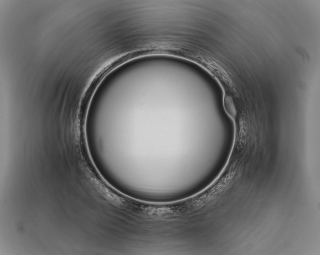 X0000113260784200909241521