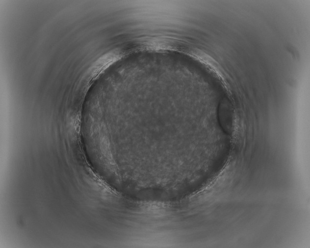 X0000113260785200909241521