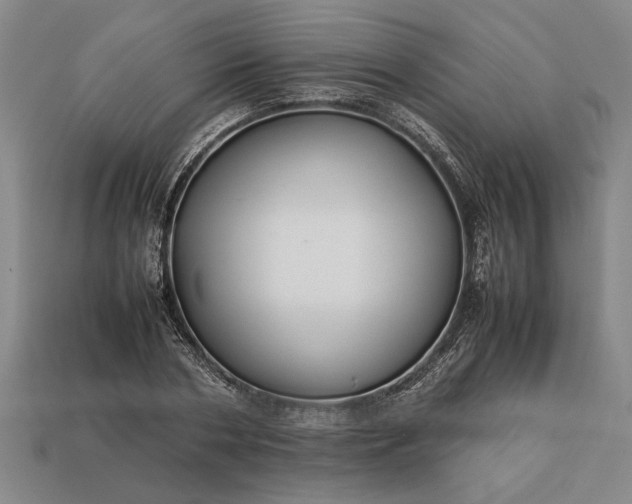 X0000113260786200909241521