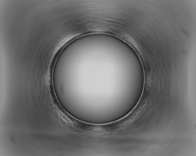 X0000113260787200909241521