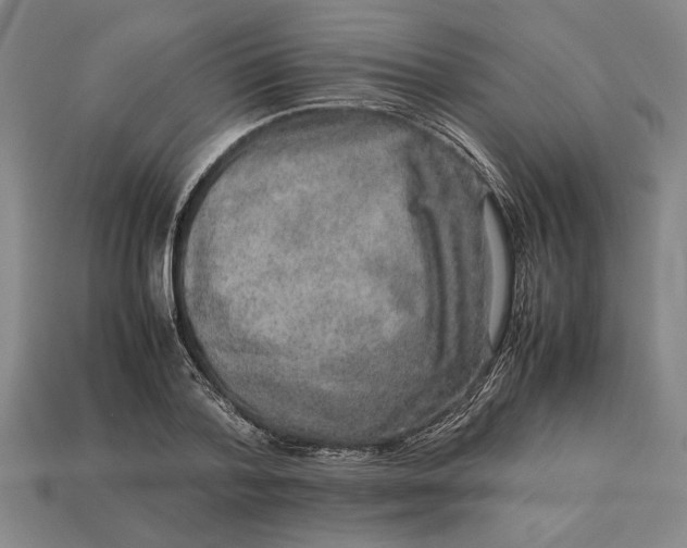 X0000113260788200909241521