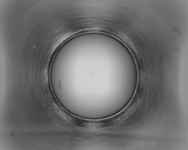 X0000113260789200909241521