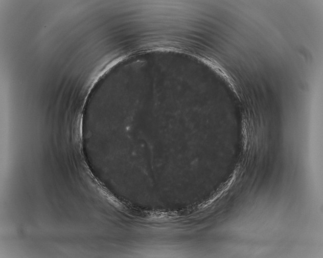 X0000113260790200909241521