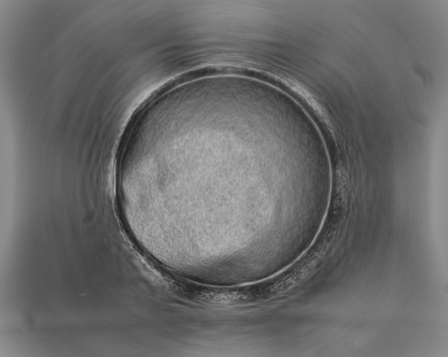 X0000113260791200909241521