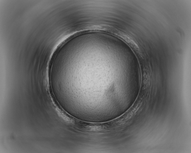 X0000113260792200909241521