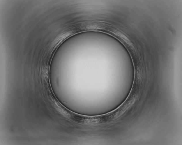 X0000113260793200909241521