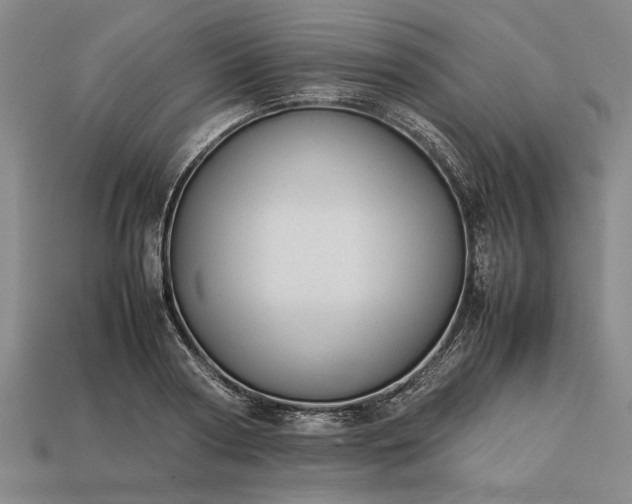 X0000113260794200909241521